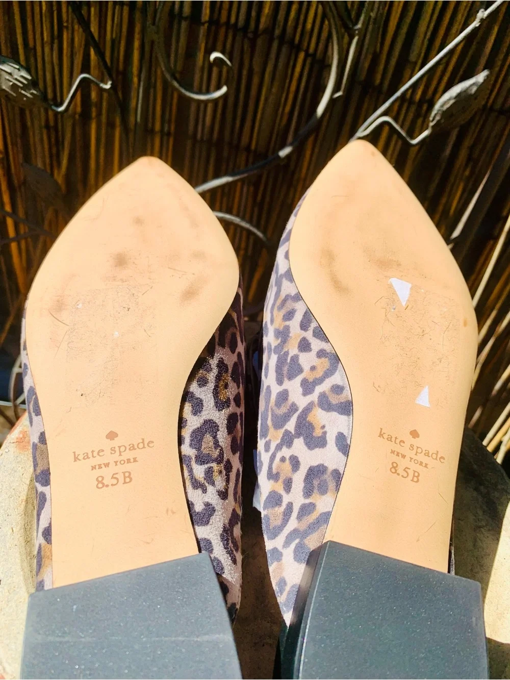 kate spade Leopard Print Pointed Mules - tan/Brown